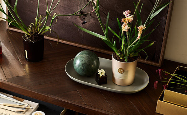 Wiosenne porządki: pradawna tradycja, kt&oacute;rą wszyscy powinniśmy kultywować