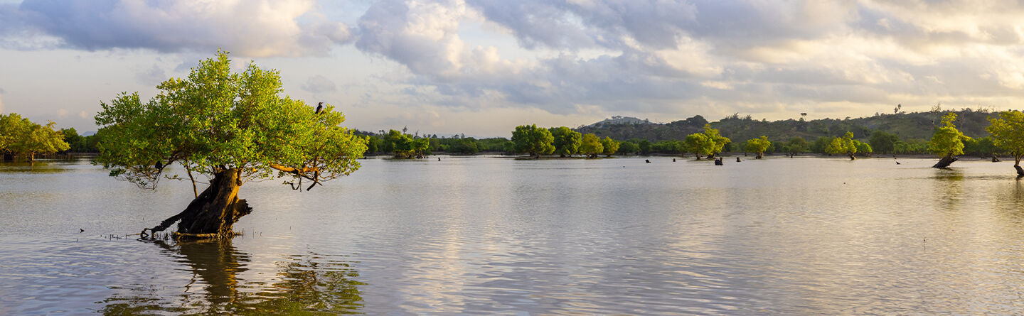 Oto inicjatywy, kt&oacute;re wspieramy za każdym razem, gdy kupujesz nasze wkłady uzupełniające