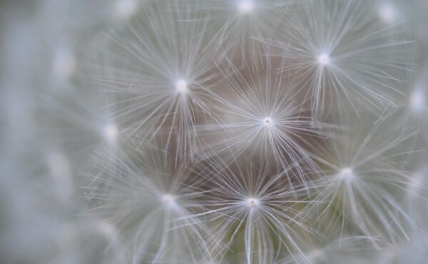 Are you hyper-aware of people&rsquo;s feelings? Find out if you&rsquo;re a highly sensitive person 