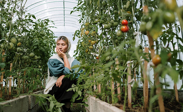 Rooftop gardens: A secret oasis that does good for the world
