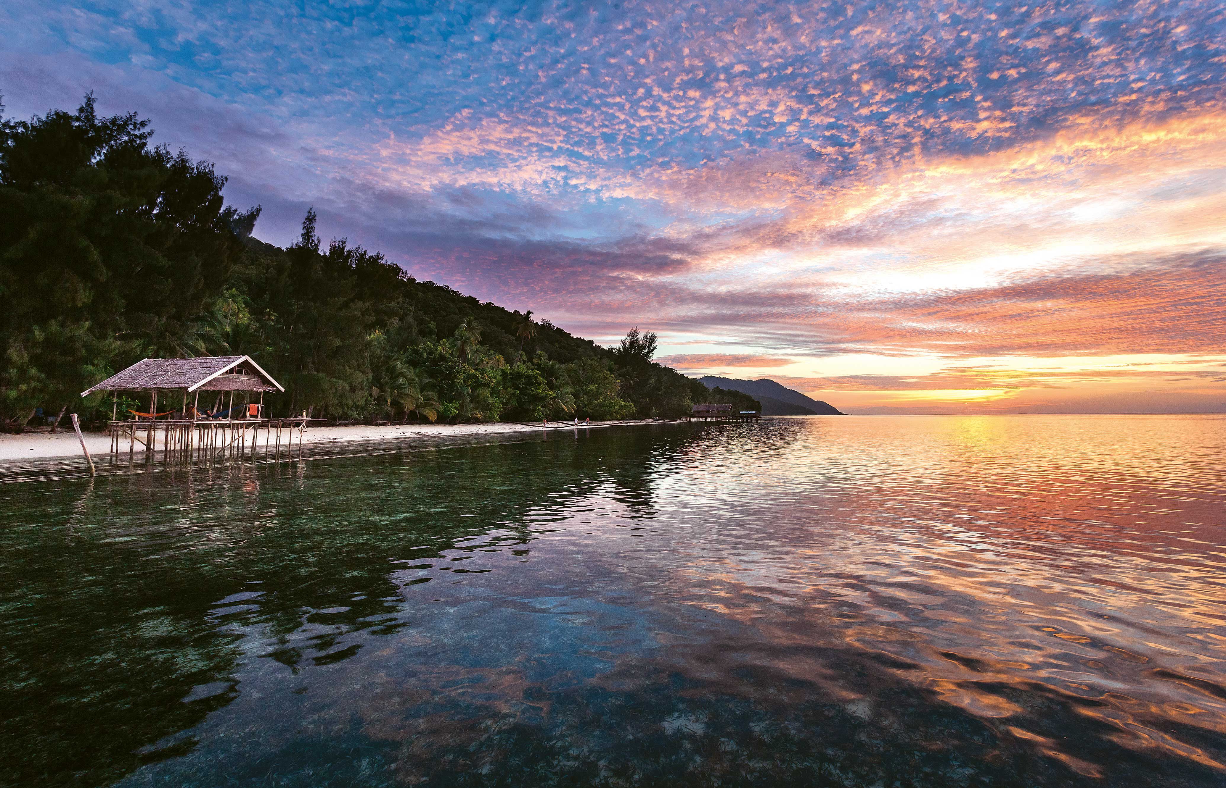 D&eacute;tox num&eacute;rique : la s&eacute;r&eacute;nit&eacute; est dans la nature
