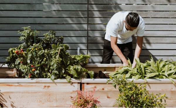 6 conseils alimentaires bons pour la sant&eacute; et la plan&egrave;te