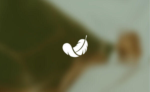 Join our sleep masterclass! 