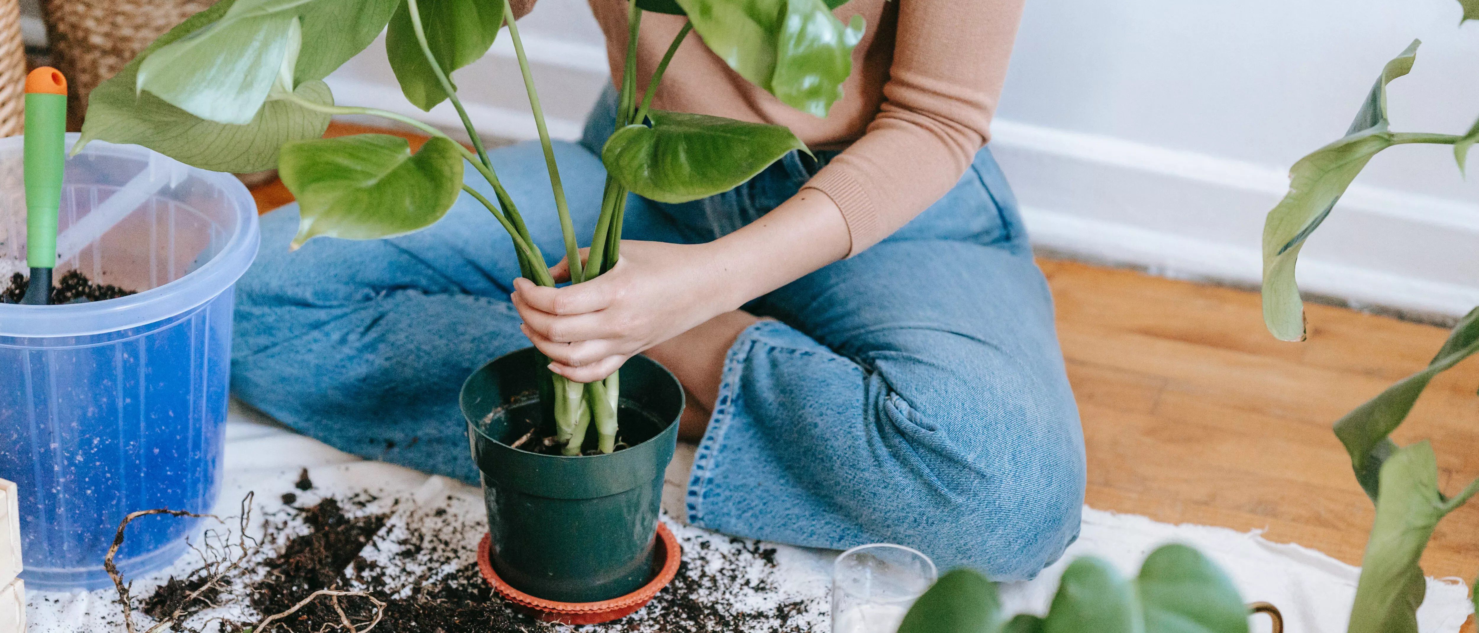 Cultivez votre bien-&ecirc;tre en jardinant en pleine conscience