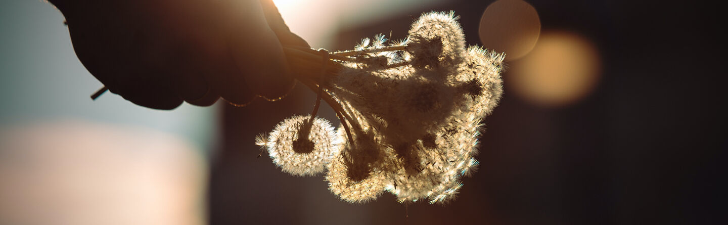 5 simple tips to help you live happily in the moment