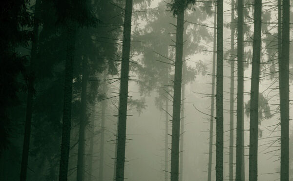 What to do when you wake in the night 