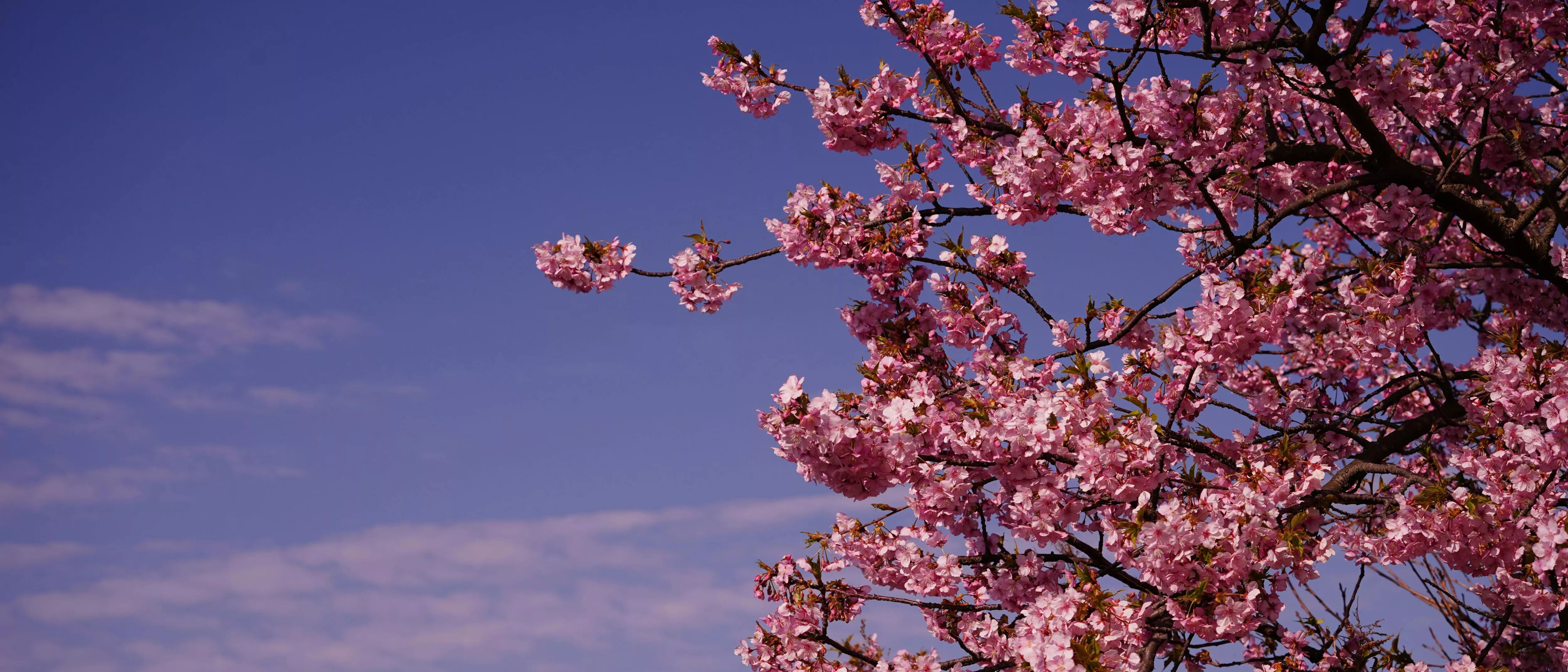 Broken your new year intentions? Why March is the perfect time for a spring re-set