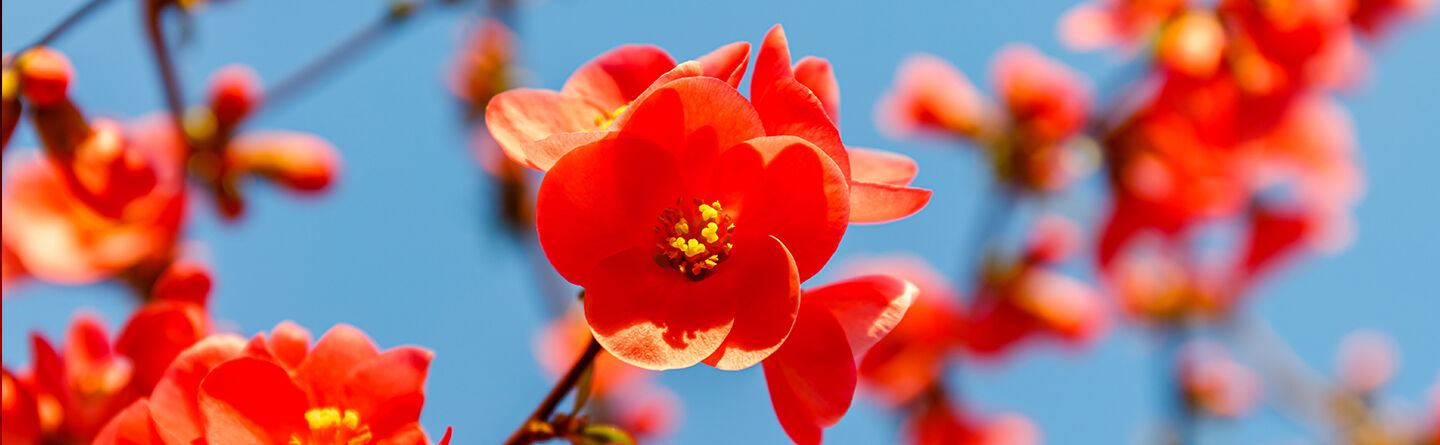 5 ways to activate your gratitude that aren