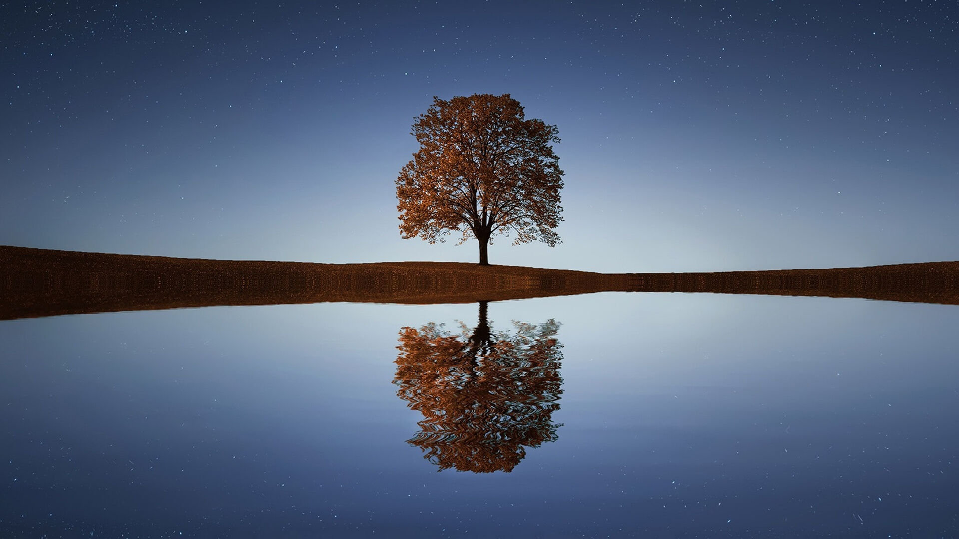 An alternative to New Year&rsquo;s resolutions: discover the solemn vow of Sankalpa