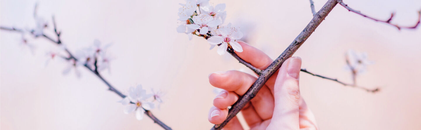 Neuroplastyczność: jak wpłynąć na m&oacute;zg, by odnaleźć spok&oacute;j