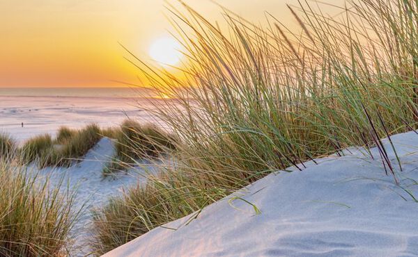 Tall beach grass growing on white sand dunes with a calm ocean in the background during a vibrant sunset.