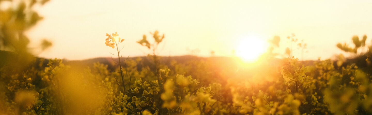 Pozytywne myślenie: Jak je w sobie pobudzić i pozwolić, by napędzało Twoje życie 