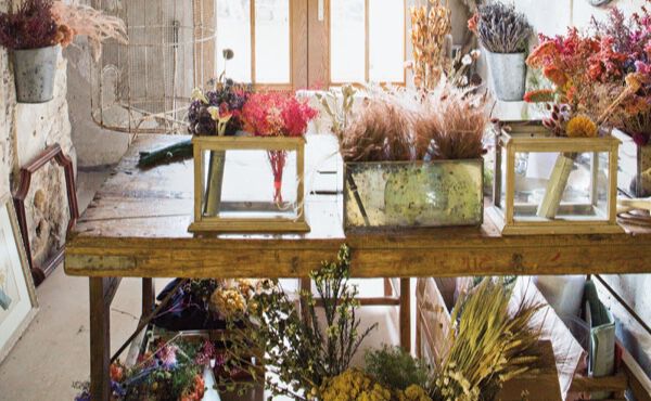 House of Wellbeing: How to bring the outside in