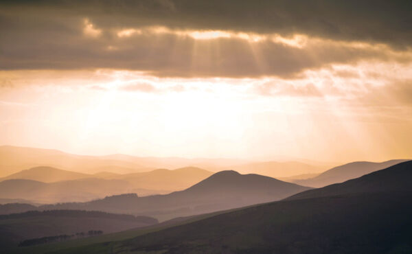 La technologie : comment l&rsquo;utiliser pour trouver le bonheur ?
