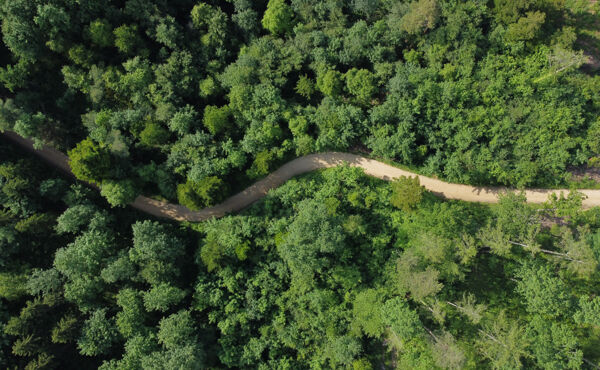 Riconnettiti alla natura per eliminare lo stress, calmare la mente e non solo