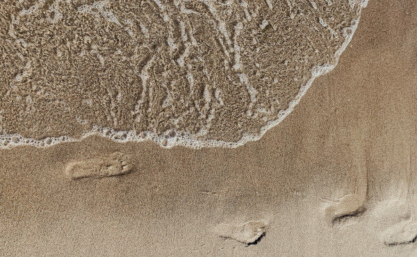 10 id&eacute;es de gestes &eacute;co-responsables