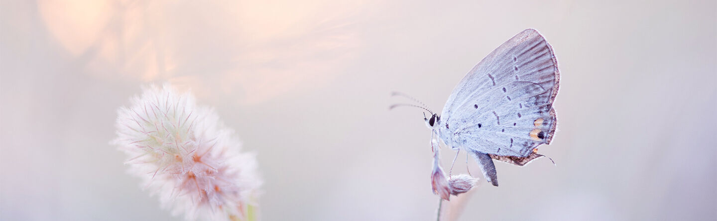 Jak wykorzystać uważność, by radzić sobie z poważnymi życiowymi zmartwieniami