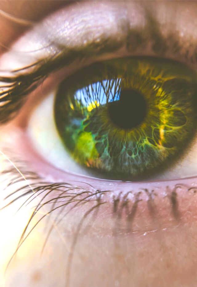 Ontdek je ware ik en hou van jezelf met deze gids